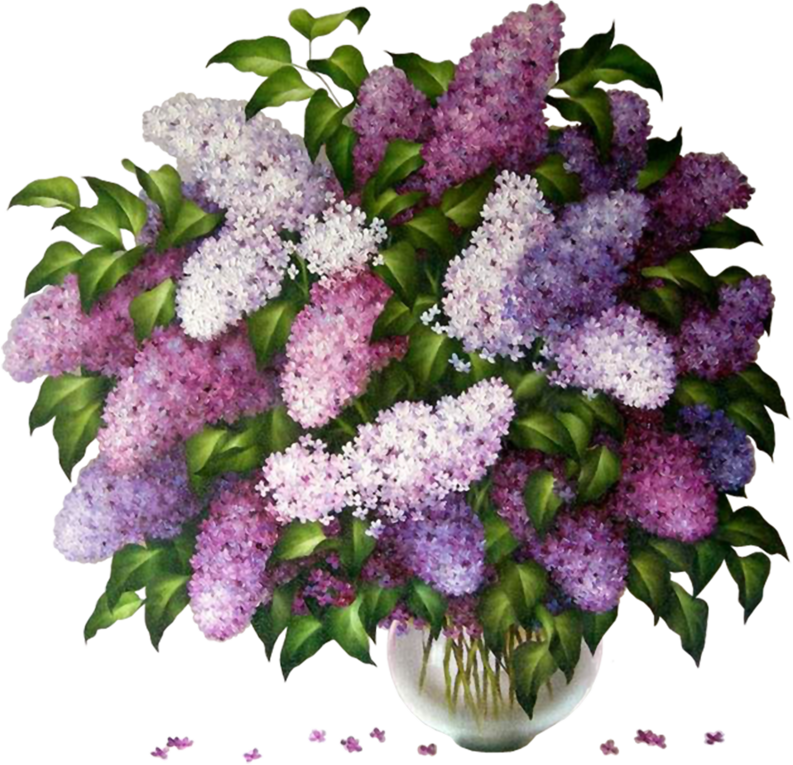 Открытки с сиренью красивые